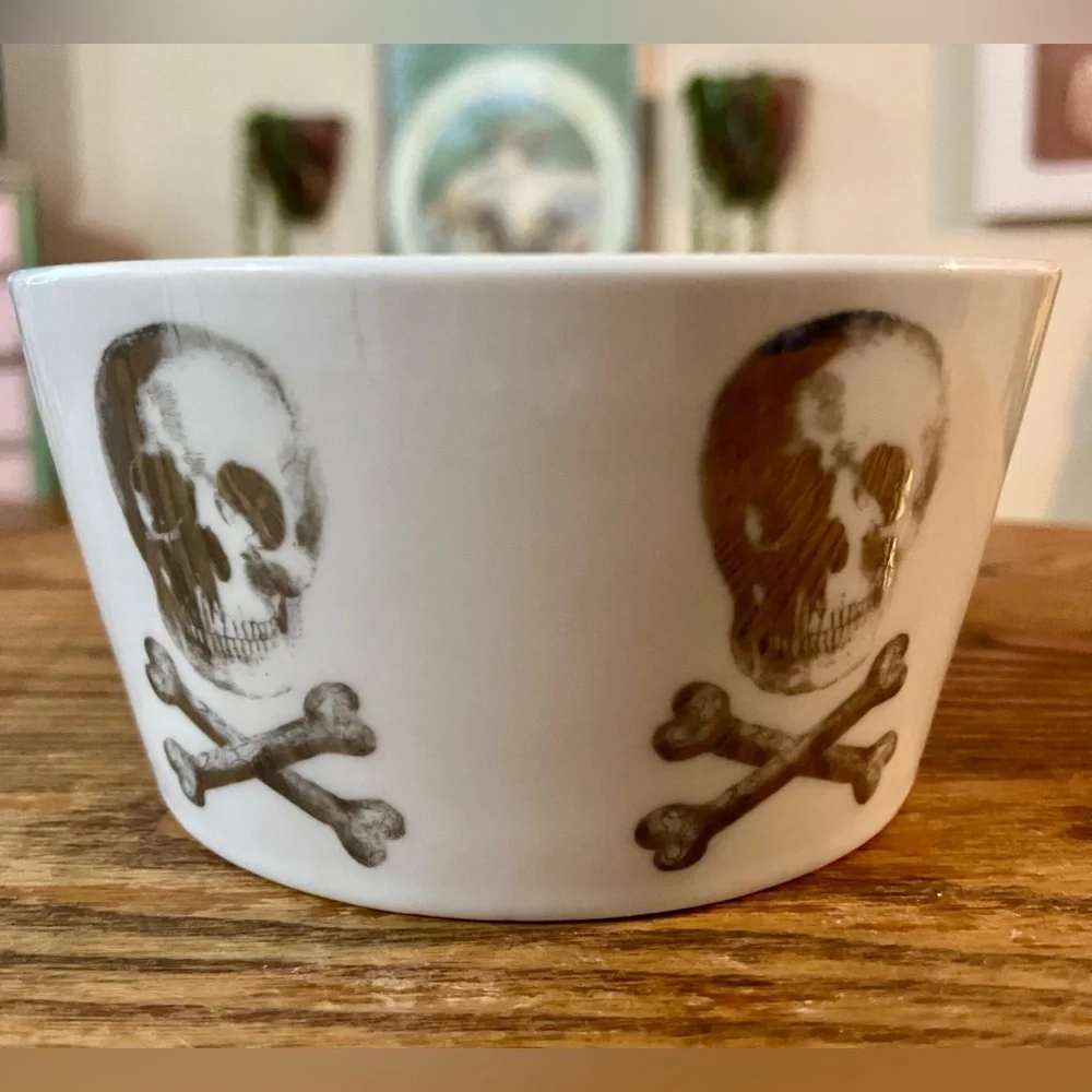 Rare Z Gallerie Christian Audigier Skull Bowl - Skull & Crossbones Bowl Pet Bowl